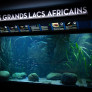 bac_tanganyika-aquarium_tropical