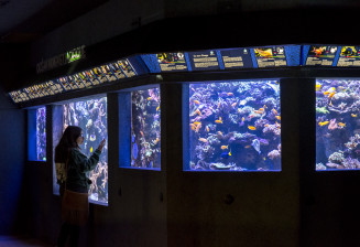 Aquarium © Anne Volery