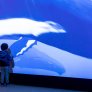 Photo de deux enfants devant le Spot de l'Aquarium