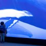 Photo de deux enfants devant le Spot de l'Aquarium