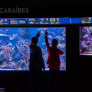 Visiteurs dans l'Aquarium