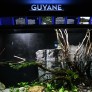 Espace consacré à la Guyane à l'Aquarium tropical 