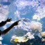 Photo d'un enfant et d'une adulte à l'Aquarium tropical