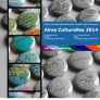 "Aires Culturelles"