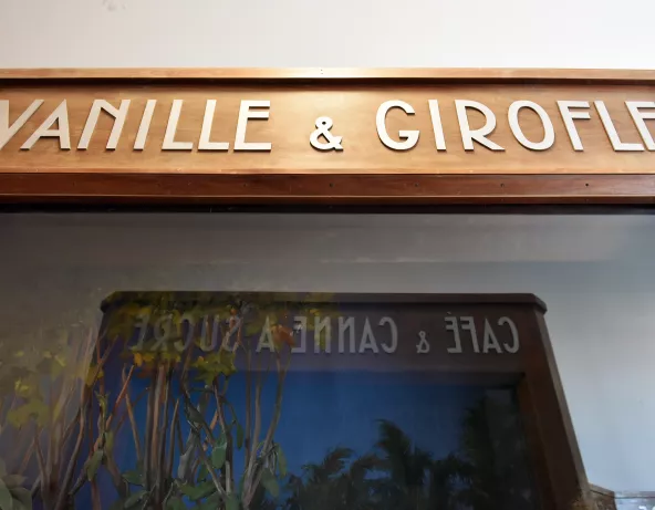 Mobilier Dioramas MNHI 