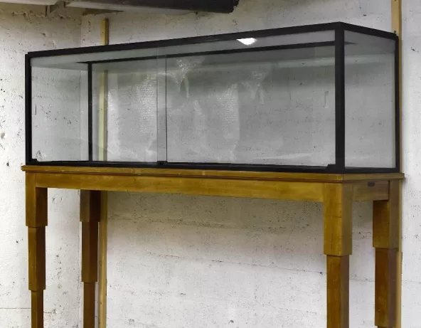 Vitrine sur pied Palais