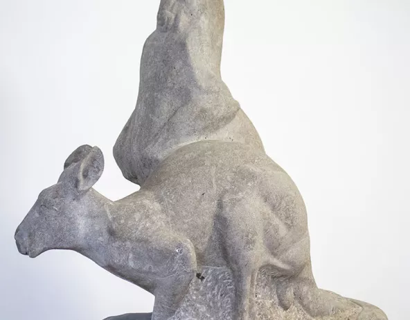 Kangourous
