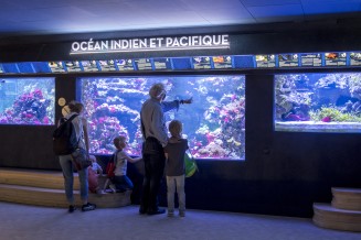 Aquarium tropical © Anne Volery