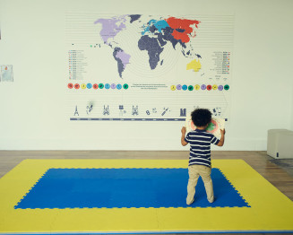 Petit Dojo