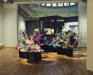 Vue de l'exposition "Migrations & climat"