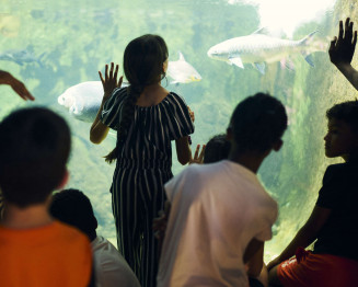 Découverte de l'Aquarium - Été au Palais 2023