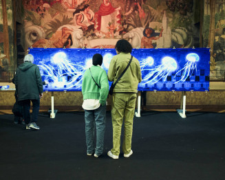 Public devant l'illustration de Clémence Jost