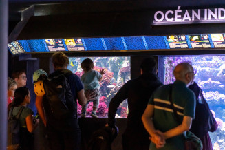 Public lors d'une visite de l'Aquarium tropical