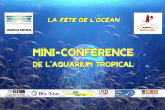 À quoi sert un aquarium ?