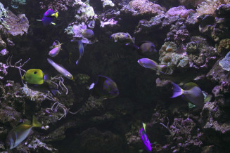 vignette_circuit_eau