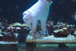 vignette_recherche_scientifique