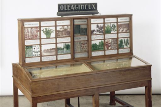 Présentoir oléagineux
