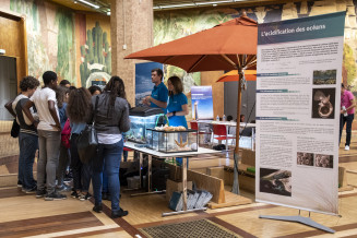 Acidification des océans Fête de l'Océan