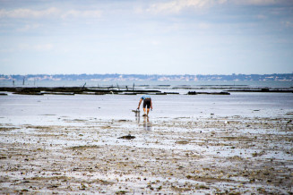 Pêche à pied