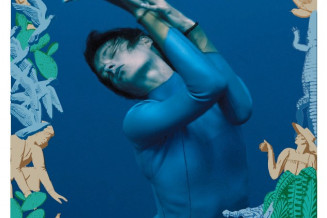 Couverture journal du Palais 20