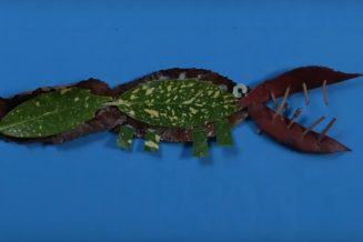 Les tutos du Palais : croco automne-hiver