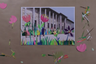 Les tutos du Palais : le jardin du palais