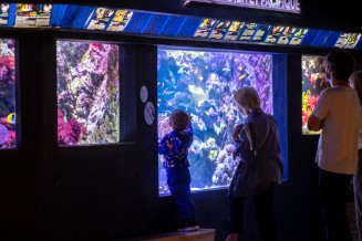 salle_aquarium_2024