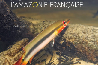 Poissons d'eau douce de Guyane