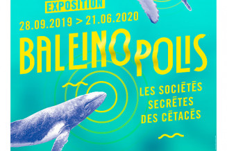 affiche exposition Baleinopolis