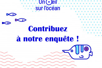 visuel_unoeilsurlocean