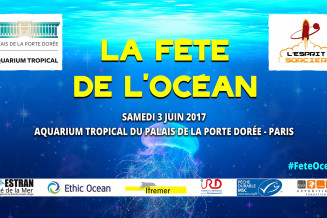 Fête de l'océan 2017