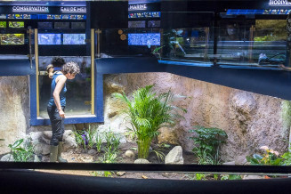 visite jep aquarium