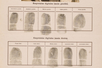 Notice individuelle de Raphaël Zadra. Le recensement des nomades est devenu obligatoire en 1912. 9 décembre 1913 © Archives départementales du Doubs, Besançon