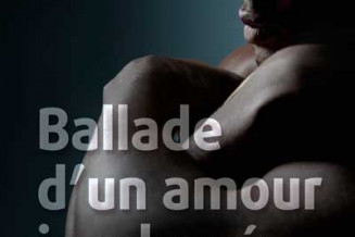Couverture balabe_amour_inacheve-dalemebert