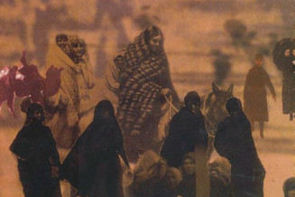 Couverture Cultures in contact