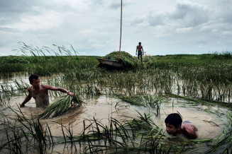 Bangladesh, le Delta du Gange, 2012 © Alessandro Grassani