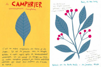 Herbier en papier © Ariana Tamburini