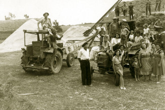 Moisson chez les Casagrande à Saubens (Haute-Garonne), fin des années 50. © EDITALIE