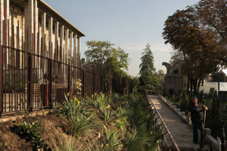 Jardins du Palais de la Porte Dorée © Liliana Motta