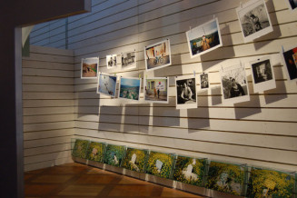 Kader Attia, Correspondance, 2003