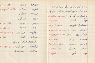 Mathieu Pernot, Les Cahiers afghans