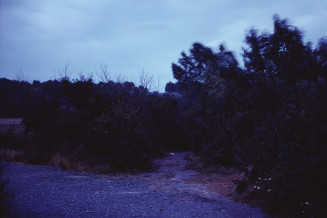 Bruno Serralongue. Chemin à l'aube 2 - Calais