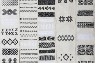 curriculum vitae amina agueznay