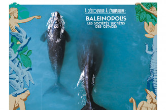 journal_du_palais_n8_sept-nov_2019