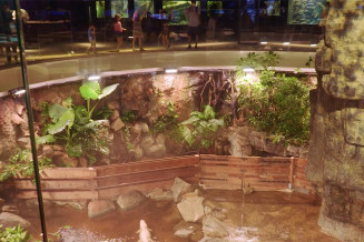 Les coulisses de l'Aquarium