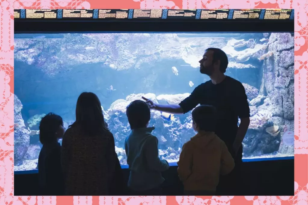 Aquarium Atelier enfant