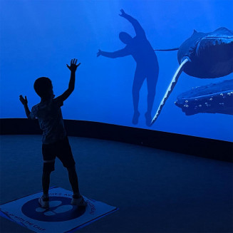 Enfant en interaction avec une baleine du Spot