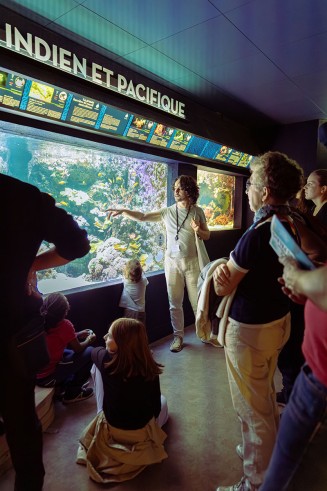 Visite de l'Aquarium