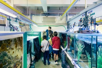 Visite des coulisses de l'Aquarium, publics entre les bacs