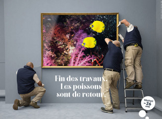 aquarium-fin-travaux-poissons.jpg